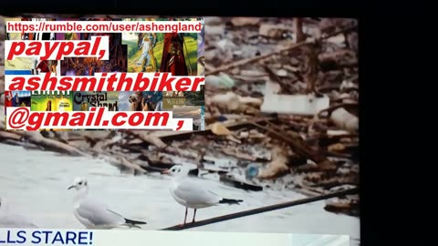 #gbnews, #pro, #irish, not english,