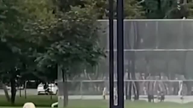 Chimp runs over Lady (Subscribe for more)