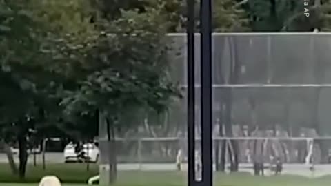 Chimp runs over Lady (Subscribe for more)