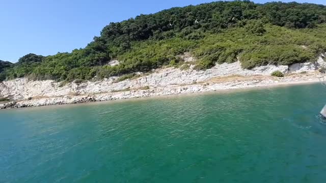 Gulls in the Black sea