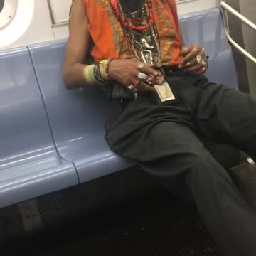Skunk on pathway to subway platform