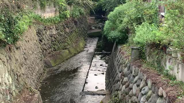 A quiet and clean stream runs through a neighborhood in Kamakura, Japan