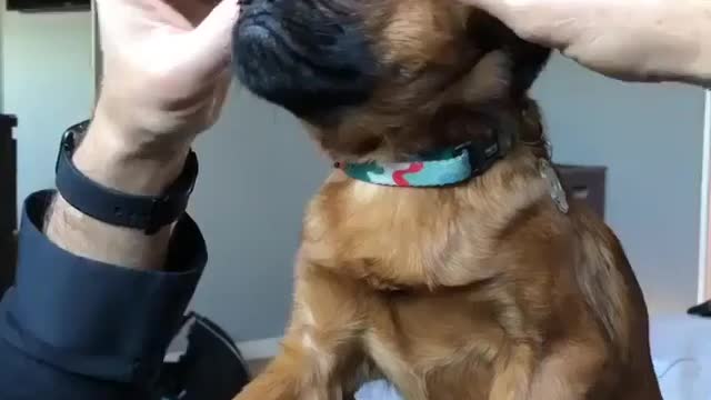 enjoy, massage