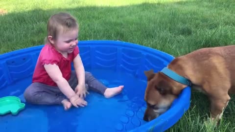 Dog And Baby Take a swimming