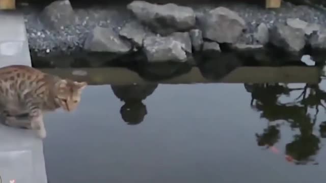Cars falls compilation_super mario bros style