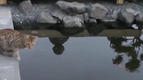 Cars falls compilation_super mario bros style