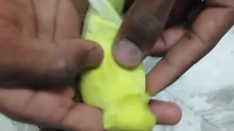 UNBOXING NEW BUDGIES 🍁🦜🦜