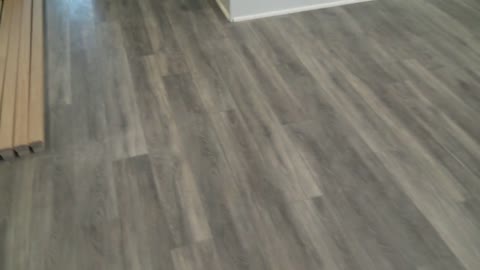 1789 ft of Adura Rigid RPP051 and 173 yds of a plush grey carpet