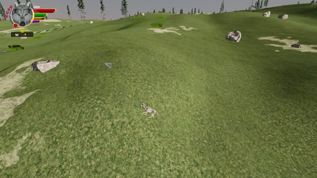 Wolfquest Let's Play special- Fan playthrough- Jalan 11