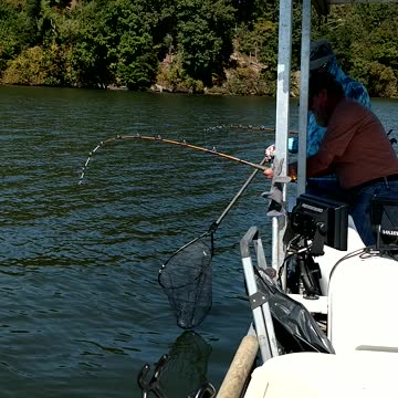Fishing on the Tennessee River.