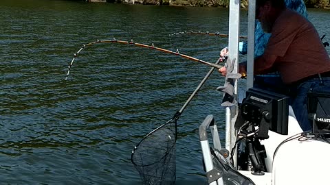 Fishing on the Tennessee River.