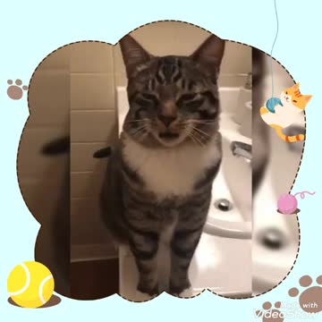 Cute animals series 3