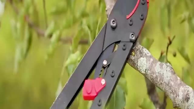Ironwood tools