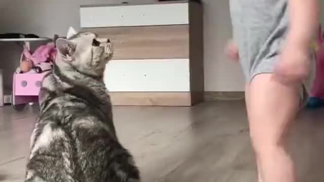 Baby and cat 😆😆😆😆