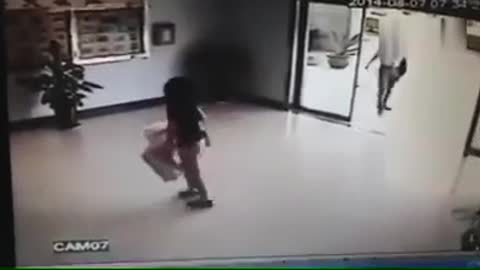 Dog crash with Mirror