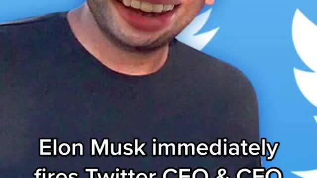 Elon Musk immediately fires Twitter CEO & CFO after takeover