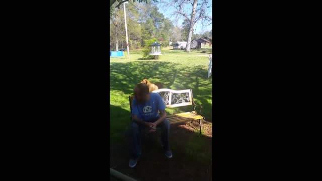 Dog doesn't recognize owner who lost weight good thing he remembers how he smells