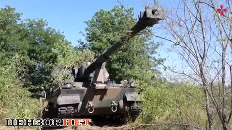 Zaluzhnyi showed the work of Polish self-propelled guns Krab on the frontline