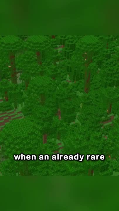 "the rarest biome in Minecraft 1.17"