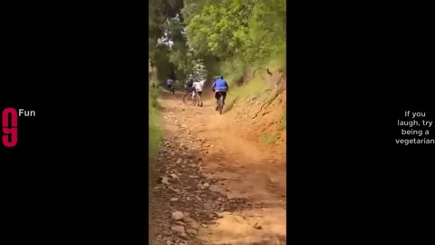 Try Not To Laugh ! Best Funny Compilation