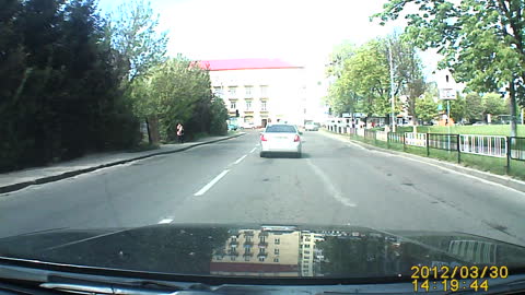 Traffic Stops for Mother Duck with Baby Ducklings