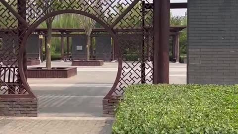 This park has a lot of character