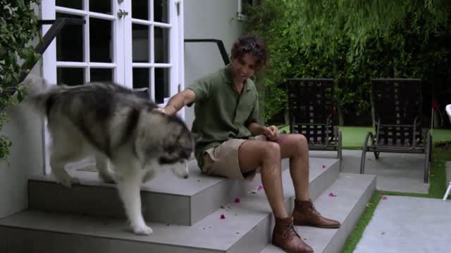 Man playing with his beautiful dog