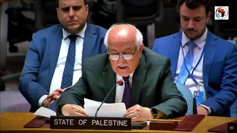 Palestine Bravely Embarrasses Israel at the UNSC! - 29 Jul 2024