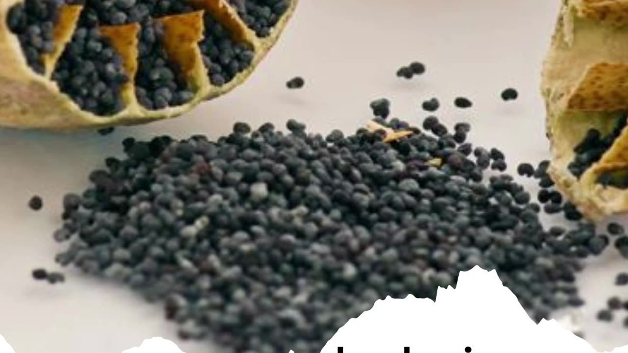 Three tremendous benefits of poppy seeds