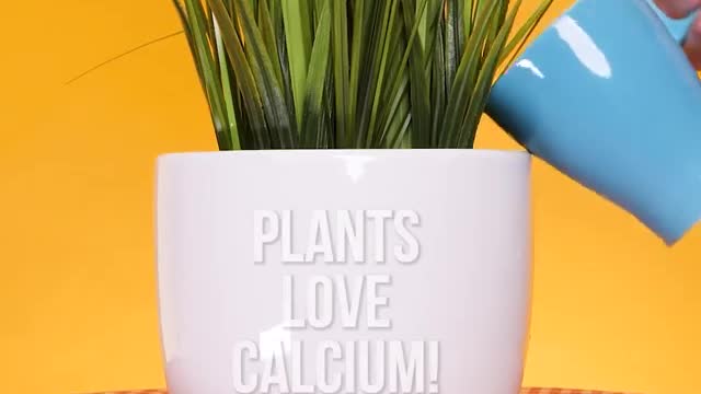 Hack your garden with these 10 tips