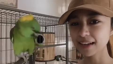 Parrots are very smart talking to their owners to ask for photos