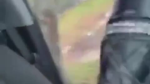 Funny video? best of funny