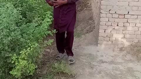 Funny video