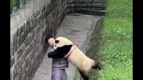 Cute and adorable