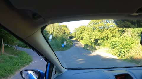 Follow the peacocks slowly. Driving at Dartmeat. Dartmoor..