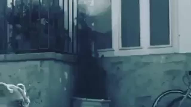 مثال دنيا