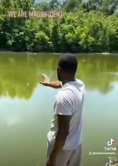 Watch the Water. It's all about vibrational energy. Proof in this video is awesome...