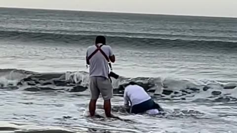 Romantic Beach Photoshoot Fail