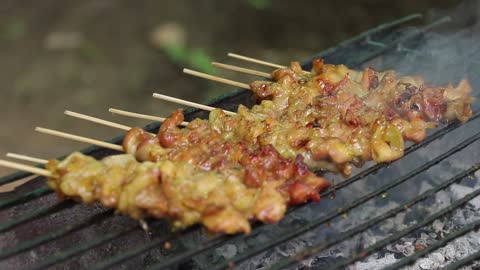 Best Cooking Barbecue On Stick In A Charcoal Grill Skewers