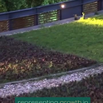 Capital鈥檚 Choreography Graceful Financial Moves