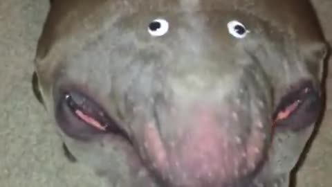 what is that ??