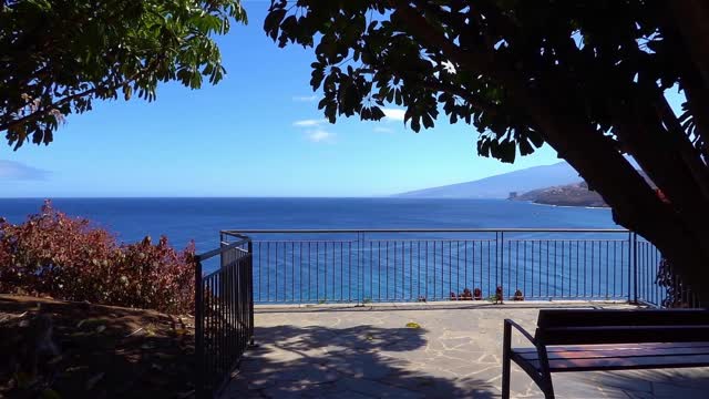 view from the shore