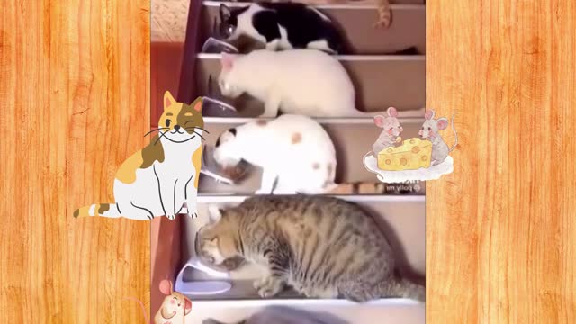 Gatinhos com vontade de comer