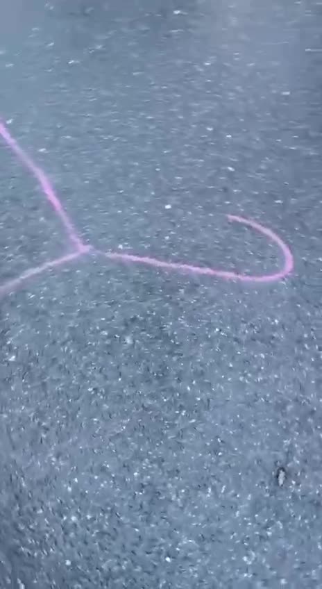 Pro abortion extremist lefties are now targeting SCOTUS judges