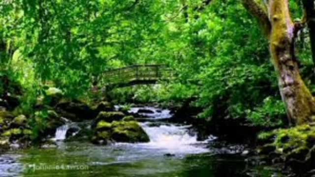 calming and relaxing water sounds complition