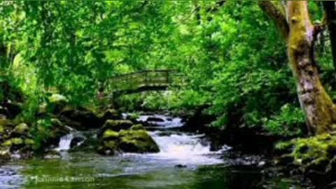 calming and relaxing water sounds complition