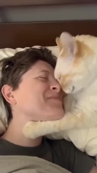 Cats and babies cuddling – Cute cat and baby compilation