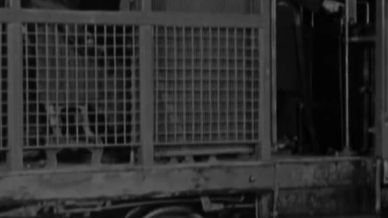 Charlie Chaplin's Rainy Night Bus Fiasco: A Comedy of Commuting Chaos!