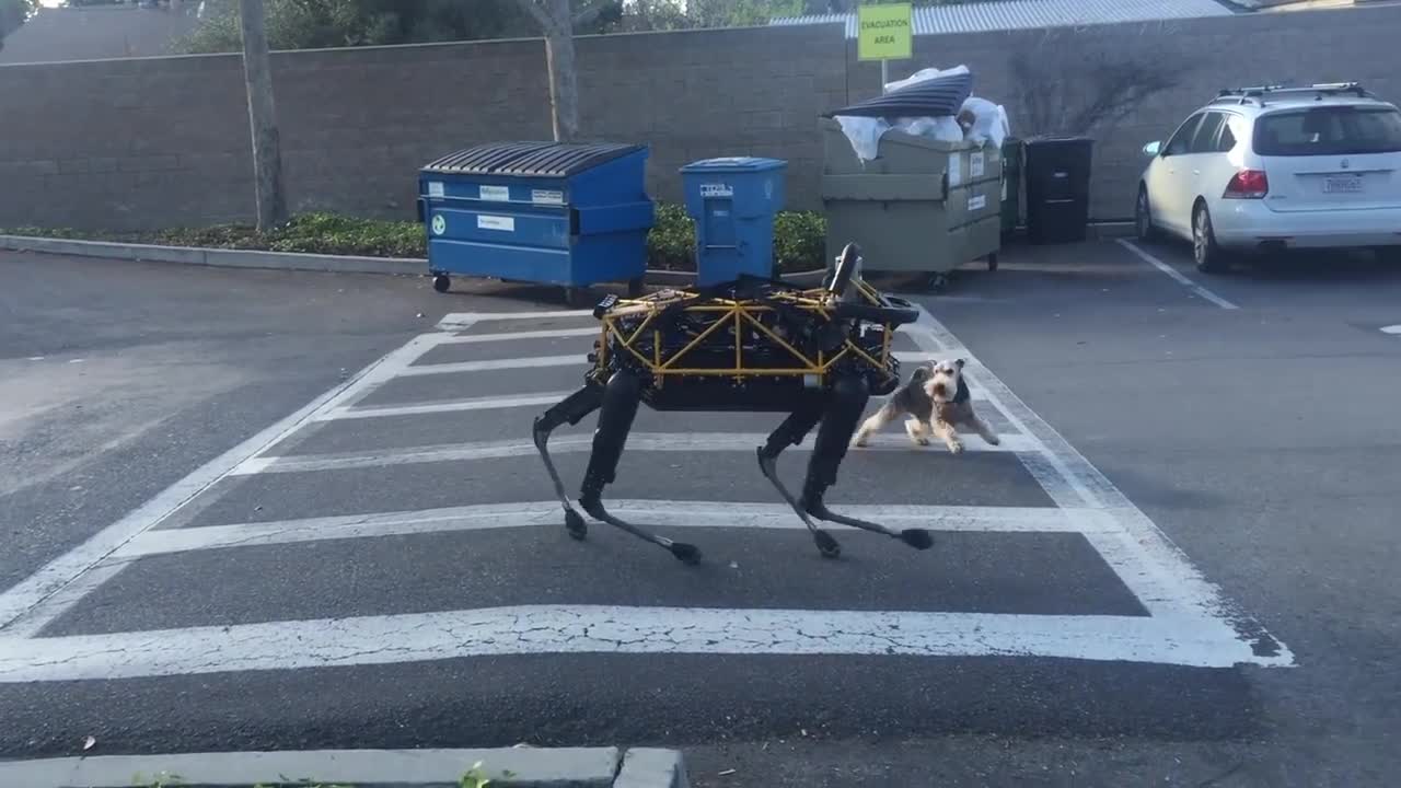 Fido vs Spot — Animal vs Robot