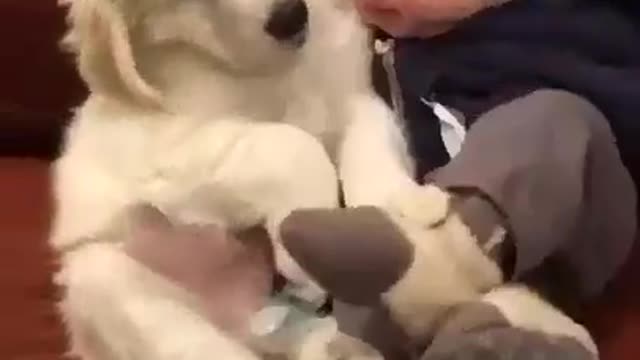 Cute baby with cute baby dog